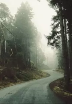 Маг. Новый путь.