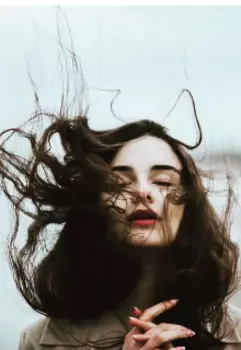 Маковое поле