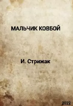 Мальчик ковбой