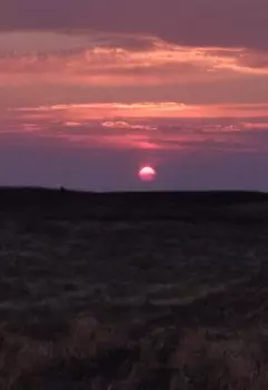 Малиновый звон