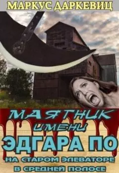 Маятник имени Эдгара По на старом элеваторе в средней полосе