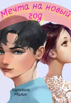 Мечта на новый год.