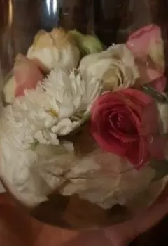 Мелодия Ангелов