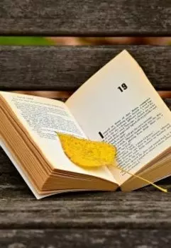 Меня зовут Анфиса. Сборник современной прозы