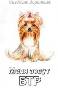 Меня зовут Бтр