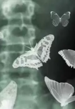 Мертвые Бабочки