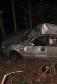 Мертвый свидетель дорожного происшествия.