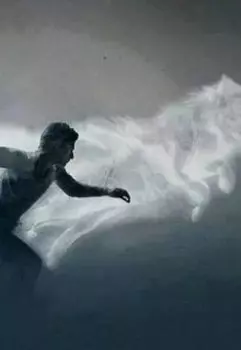 Метелица Волчица