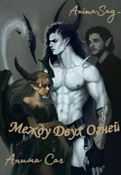 Между Двух Огней