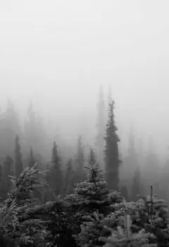 Между мнением о высшем и твоём