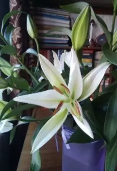 Мгновения нашей жизни