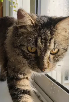 Мир в е глазах.