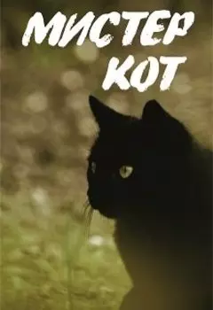 Мистер Кот