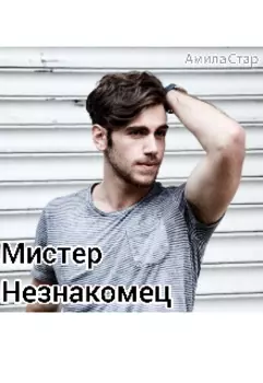 Мистер Незнакомец