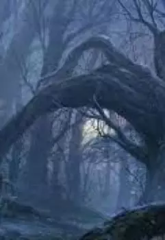 Многоликий