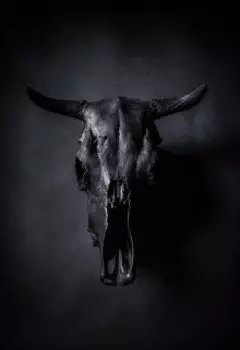 Моего демона зовут-Тварь