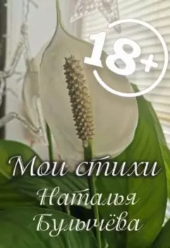 Мои стихи. Сборник -2