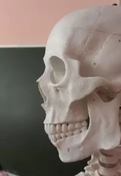 Мои сумасшедшие мемуары