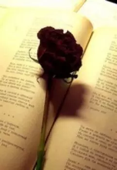 Моим стихам, написанным так рано...