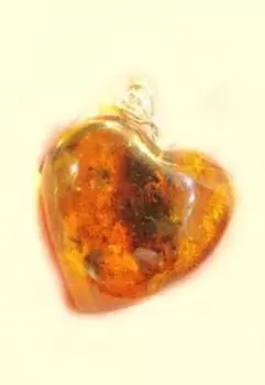 Мой Библиотечный рыцарь