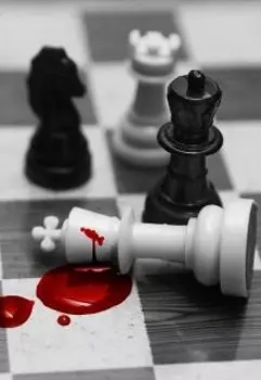 Мой друг, шахматист