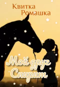 Мой друг Спирит