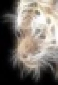 "Мой ласковый зверь."