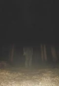 Мой лучший друг