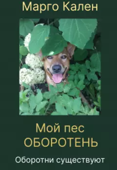 Мой пес оборотень