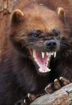 Момент истины