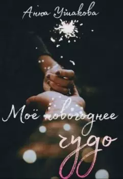 Моё новогоднее чудо