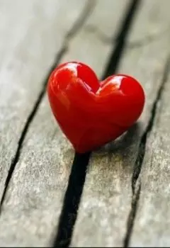 Моя история