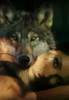 Моя история в стаи оборотней.