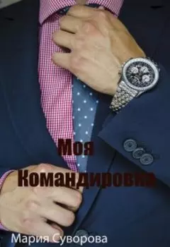 Моя командировка