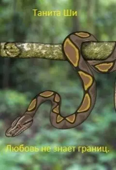 Моя любовь не знает границ.