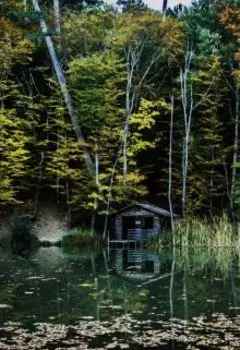 Моя последняя картина