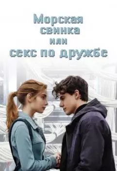 Морская свинка, или секс по дружбе