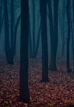 Мёртвый лес