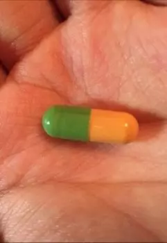 Московский беглец