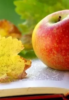 Может быть, мы просто не умеем готовить…