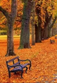 Музыка осени