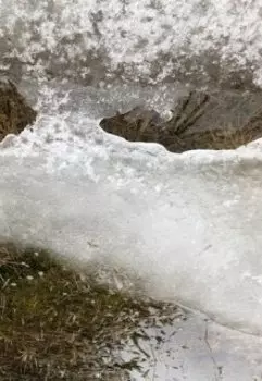 Мы мыслим...