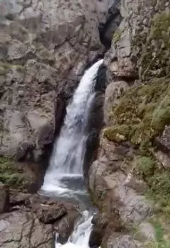 Мышеловка