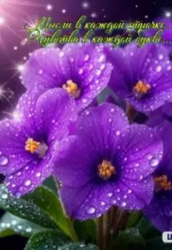 Мысли в каждой строчке. Чувства в каждой букве...