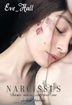 N A R C I S S U S
