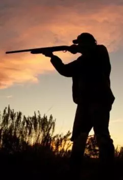 На охоте