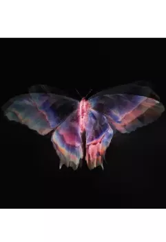 Намертво ослепляет горящие глаза зрителей