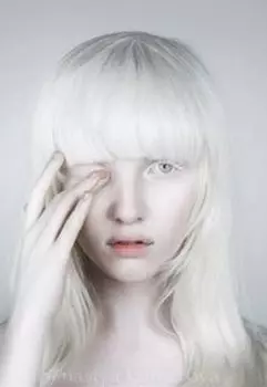 Наследница Затмения