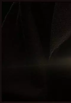 Научи меня добру