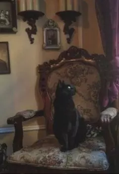 Не бросай хозяина дома